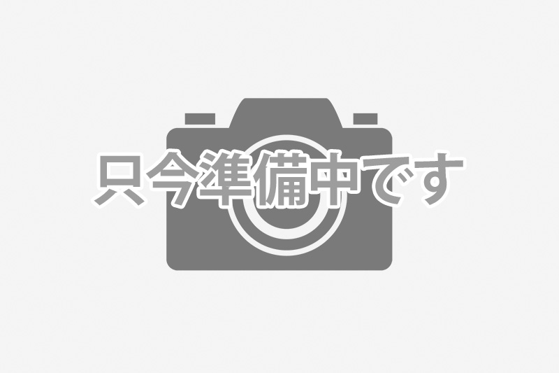 活動の様子