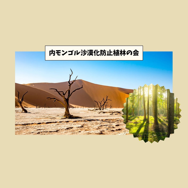 特定非営利活動法人内モンゴル沙漠化防止植林の会
