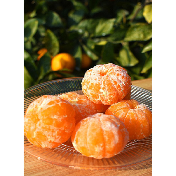 むきみきゃんギフト