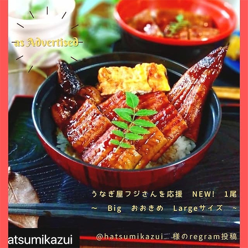 ＜送料込＞高知県産うなぎ蒲焼1尾（寄付額208円）　＊蒸しは少な目、肉質はしっかり目、頭付き、背開き、たれは3度漬け焼き後、急速冷凍してお届けします。