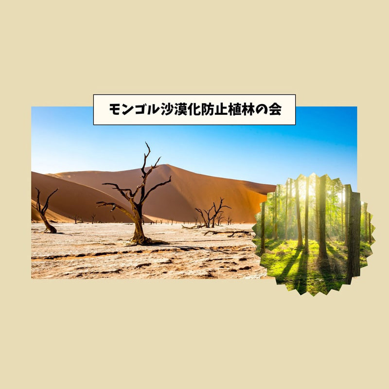 モンゴル沙漠化防止植林の会
