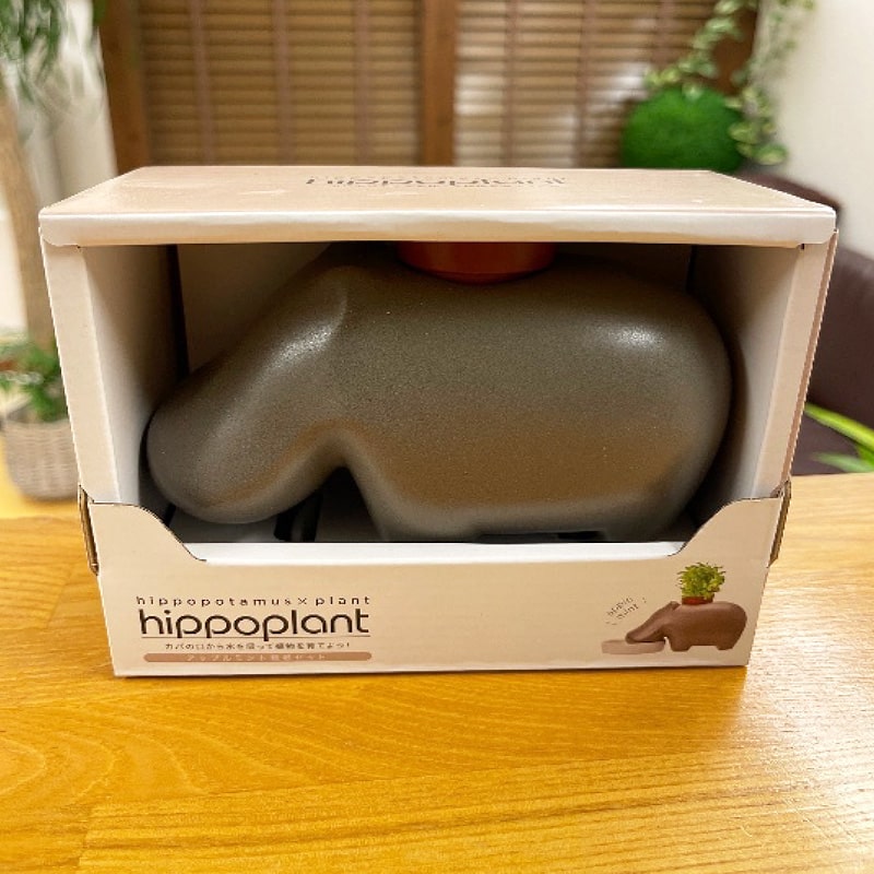 ＜送料別＞hippoplant（かばミント）（寄付額90円）　＊カバが水を飲んで植物が育つ！そんなかわいい植物と鉢のセットです。