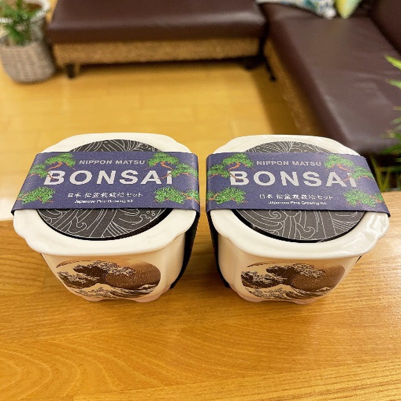 ＜送料別＞BONSAI松（寄付額83円）　＊小さめのサイズのため、お庭がなくても挑戦できる高級感のある盆栽セットです。