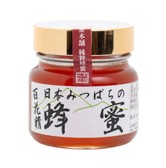 【送料別】日本みつばちの蜂蜜300gビン入
